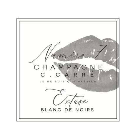 Champagne Blanc de Noirs Champagne Blanc de Noirs