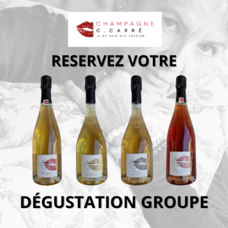 Dégustation en Groupe