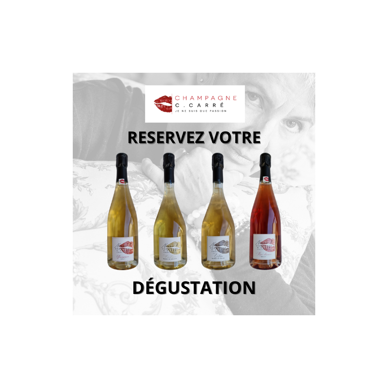 Dégustation au Domaine